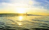 surf