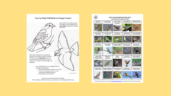 NEA Big Read Activity Sheets