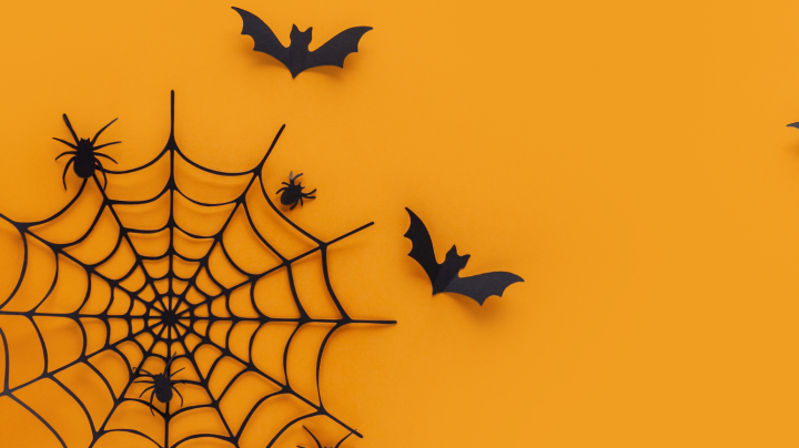 orange spiderweb bats