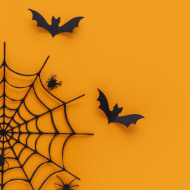 orange spiderweb bats