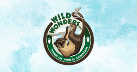 wildwonders